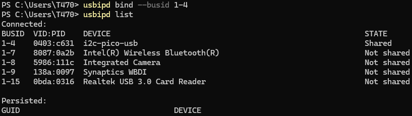 PS_usbipd-list_after_bind.png